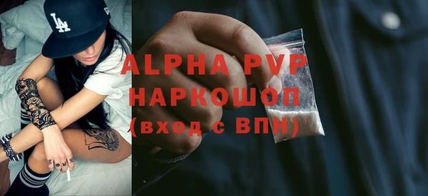 прущий лед Новозыбков