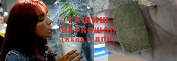 прущий лед Новозыбков