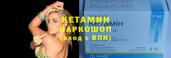 прущий лед Новозыбков