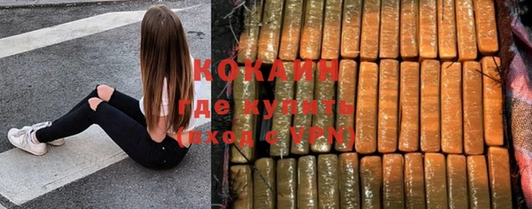 дурь Новодвинск