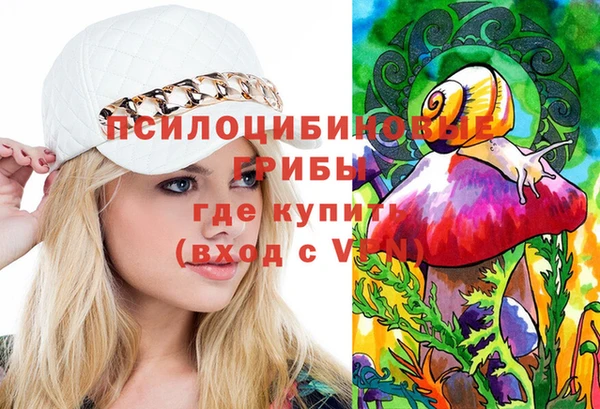 прущий лед Новозыбков