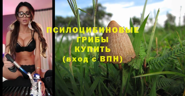 дурь Новодвинск