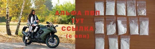 прущий лед Новозыбков