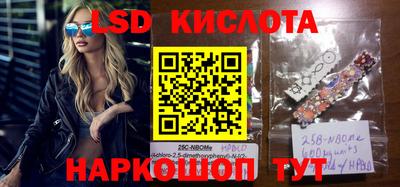 гашик Бийск