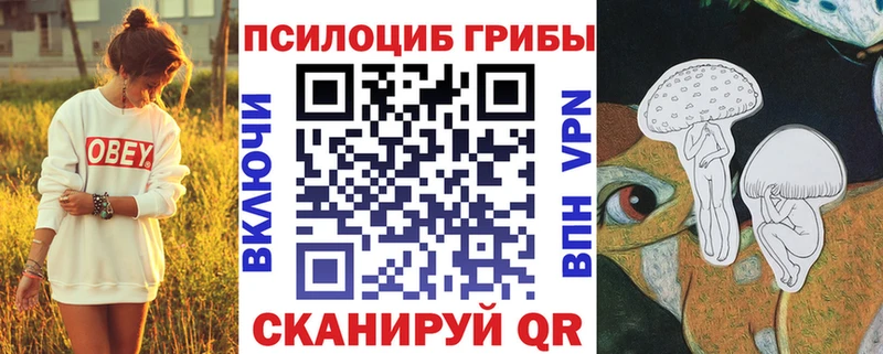 Галлюциногенные грибы Magic Shrooms  как найти закладки  гидра вход  Новокузнецк 