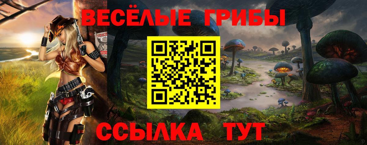 Галлюциногенные грибы прущие грибы  Вход с VPN  Галлюциногенные грибы Psilocybe  Новокузнецк 